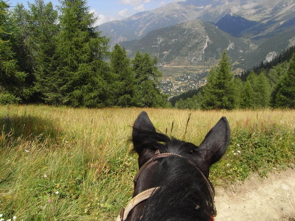 Gite Montagne Mercantour Villa Valdeblore Exterior foto